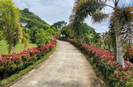 Luxury 15 Bedroom Estate For Sale in DANAO Cebu Philippines Luxury 15 Bedroom Estate For Sale in DANAO Cebu Philippines