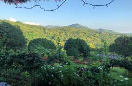 Luxury 15 Bedroom Estate For Sale in DANAO Cebu Philippines Luxury 15 Bedroom Estate For Sale in DANAO Cebu Philippines
