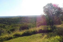 Excellent 4 Bed Property for Sale in Bathurst Eastern Cape South Africa Excellent 4 Bed Property for Sale in Bathurst Eastern Cape South Africa