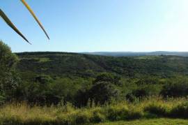 Excellent 4 Bed Property for Sale in Bathurst Eastern Cape South Africa Excellent 4 Bed Property for Sale in Bathurst Eastern Cape South Africa