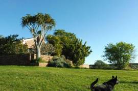 Excellent 4 Bed Property for Sale in Bathurst Eastern Cape South Africa Excellent 4 Bed Property for Sale in Bathurst Eastern Cape South Africa