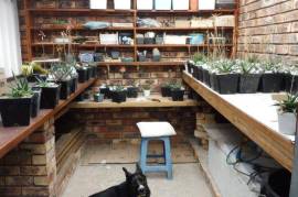 Excellent 4 Bed Property for Sale in Bathurst Eastern Cape South Africa Excellent 4 Bed Property for Sale in Bathurst Eastern Cape South Africa