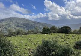 Excellent Plot of land for sale in El Colmenar Andalusia Spain Excellent Plot of land for sale in El Colmenar Andalusia Spain