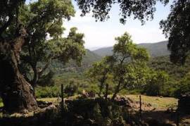 Excellent Plot of land for sale in El Colmenar Andalusia Spain