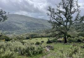 Excellent Plot of land for sale in El Colmenar Andalusia Spain Excellent Plot of land for sale in El Colmenar Andalusia Spain