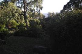Excellent Plot of land for sale in El Colmenar Andalusia Spain Excellent Plot of land for sale in El Colmenar Andalusia Spain