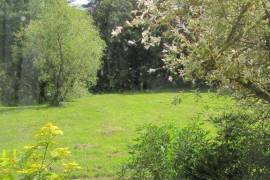 Luxury 13 bed Farmhouse Cottage and Converted barn For Sale in Leuhan Finistere Brittany France