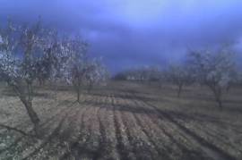 Excellent Plot of land for sale in Yelca Murcia Spain