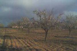 Excellent Plot of land for sale in Yelca Murcia Spain Excellent Plot of land for sale in Yelca Murcia Spain