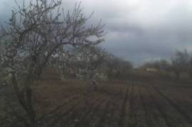Excellent Plot of land for sale in Yelca Murcia Spain Excellent Plot of land for sale in Yelca Murcia Spain