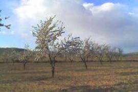 Excellent Plot of land for sale in Yelca Murcia Spain Excellent Plot of land for sale in Yelca Murcia Spain