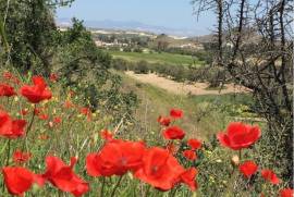 Plot of Land for Sale in Analyontas Nicosia Cyprus