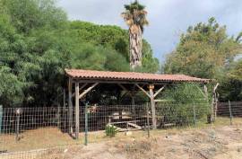 Luxury 5 bed Sea Front Villa for sale in SIMERI CRICHI Calabria Italy Luxury 5 bed Sea Front Villa for sale in SIMERI CRICHI Calabria Italy