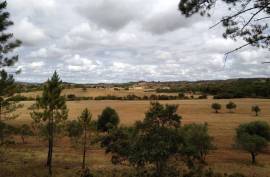 Diamond Farms Algarve for Sale in Silves Portugal