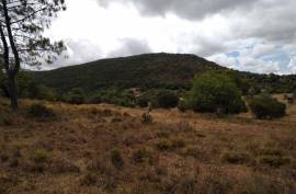 Diamond Farms Algarve for Sale in Silves Portugal