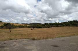 Diamond Farms Algarve for Sale in Silves Portugal