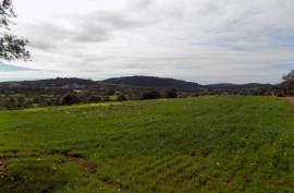 Diamond Farms Algarve for Sale in Silves Portugal