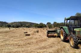 Diamond Farms Algarve for Sale in Silves Portugal
