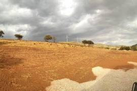 Diamond Farms Algarve for Sale in Silves Portugal