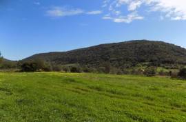 Diamond Farms Algarve for Sale in Silves Portugal