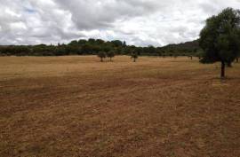 Diamond Farms Algarve for Sale in Silves Portugal