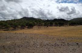 Diamond Farms Algarve for Sale in Silves Portugal