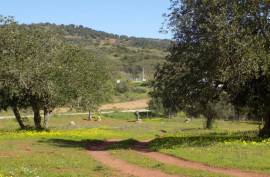 Diamond Farms Algarve for Sale in Silves Portugal