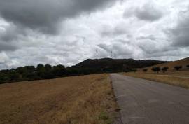 Diamond Farms Algarve for Sale in Silves Portugal