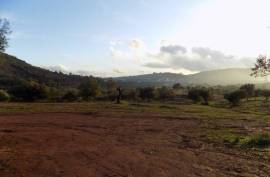 Diamond Farms Algarve for Sale in Silves Portugal