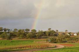 Diamond Farms Algarve for Sale in Silves Portugal