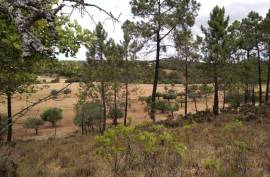 Diamond Farms Algarve for Sale in Silves Portugal