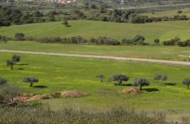 Diamond Farms Algarve for Sale in Silves Portugal