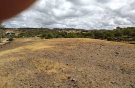 Diamond Farms Algarve for Sale in Silves Portugal