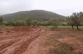 Diamond Farms Algarve for Sale in Silves Portugal