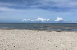 Stunning Plots of Land For Sale in Ilha de Itamaraca Brazil Stunning Plots of Land For Sale in Ilha de Itamaraca Brazil
