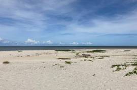 Stunning Plots of Land For Sale in Ilha de Itamaraca Brazil Stunning Plots of Land For Sale in Ilha de Itamaraca Brazil