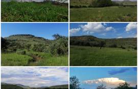 Stunning Farm With Land For Sale in Eastern Cape South Africa Stunning Farm With Land For Sale in Eastern Cape South Africa