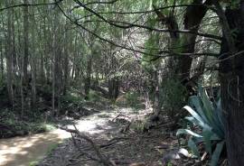 Stunning Farm With Land For Sale in Eastern Cape South Africa Stunning Farm With Land For Sale in Eastern Cape South Africa