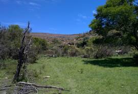 Stunning Farm With Land For Sale in Eastern Cape South Africa