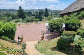 Stunning 4 Bed Thatched House For Sale in Golf View Walkerville Gauteng South Africa Stunning 4 Bed Thatched House For Sale in Golf View Walkerville Gauteng South Africa