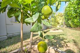 Luxury 3 Bed Arsinoe Beach Villa For Sale in Latchi Cyprus Luxury 3 Bed Arsinoe Beach Villa For Sale in Latchi Cyprus