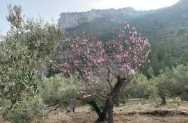 Excellent Plot of land for sale in Pratdip L Hospitalet de l Infant Tarragona Spain Excellent Plot of land for sale in Pratdip L Hospitalet de l Infant Tarragona Spain