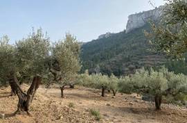 Excellent Plot of land for sale in Pratdip L Hospitalet de l Infant Tarragona Spain Excellent Plot of land for sale in Pratdip L Hospitalet de l Infant Tarragona Spain