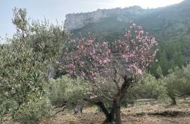 Excellent Plot of land for sale in Pratdip L Hospitalet de l Infant Tarragona Spain Excellent Plot of land for sale in Pratdip L Hospitalet de l Infant Tarragona Spain