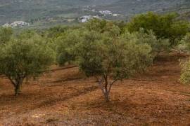 Excellent Plot of land for sale in Pratdip L Hospitalet de l Infant Tarragona Spain Excellent Plot of land for sale in Pratdip L Hospitalet de l Infant Tarragona Spain