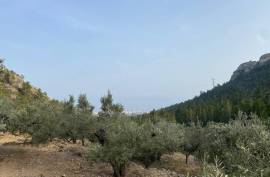 Excellent Plot of land for sale in Pratdip L Hospitalet de l Infant Tarragona Spain Excellent Plot of land for sale in Pratdip L Hospitalet de l Infant Tarragona Spain