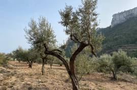 Excellent Plot of land for sale in Pratdip L Hospitalet de l Infant Tarragona Spain Excellent Plot of land for sale in Pratdip L Hospitalet de l Infant Tarragona Spain