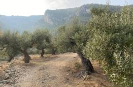 Excellent Plot of land for sale in Pratdip L Hospitalet de l Infant Tarragona Spain Excellent Plot of land for sale in Pratdip L Hospitalet de l Infant Tarragona Spain