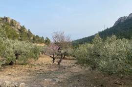 Excellent Plot of land for sale in Pratdip L Hospitalet de l Infant Tarragona Spain Excellent Plot of land for sale in Pratdip L Hospitalet de l Infant Tarragona Spain