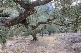 Excellent Plot of land for sale in Pratdip L Hospitalet de l Infant Tarragona Spain Excellent Plot of land for sale in Pratdip L Hospitalet de l Infant Tarragona Spain
